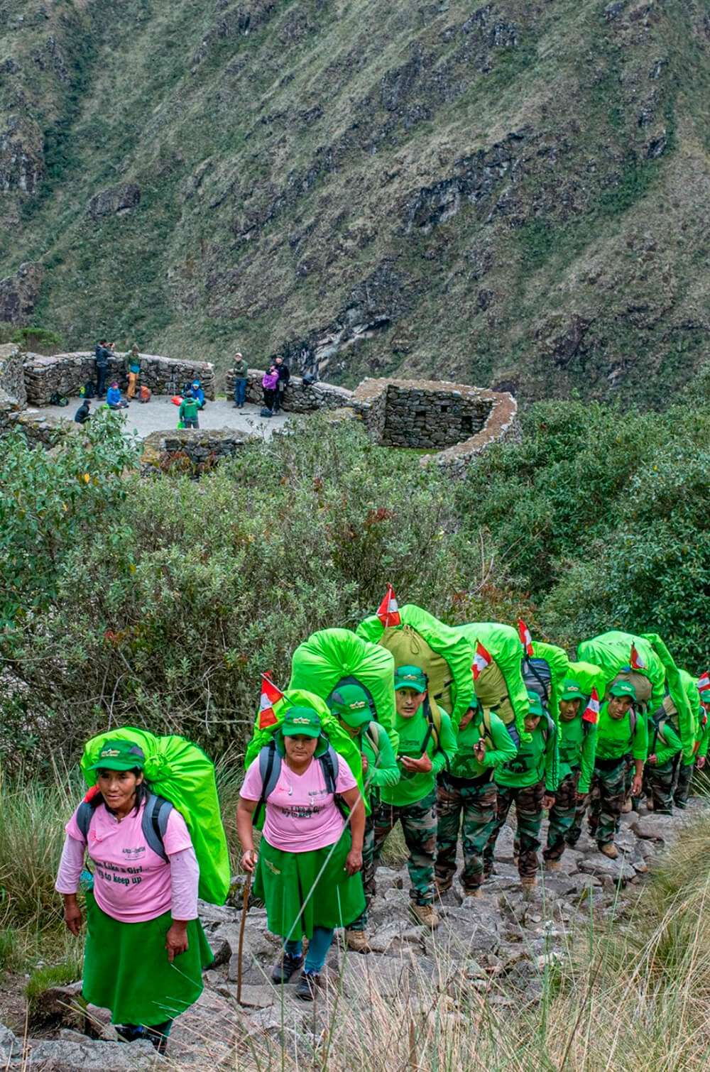 Peruvian People Meet the Porters on the Inca Trail Alpaca